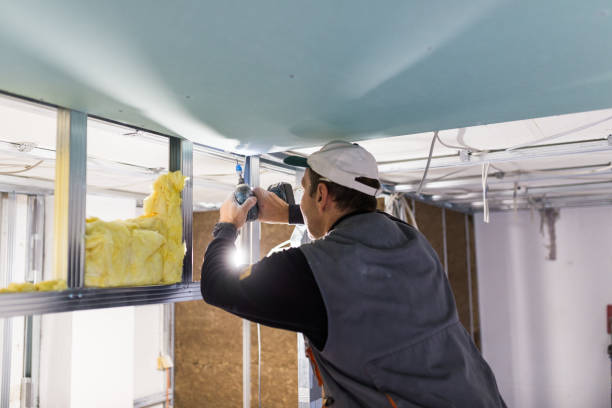 Best Residential Insulation in Lowell, NC